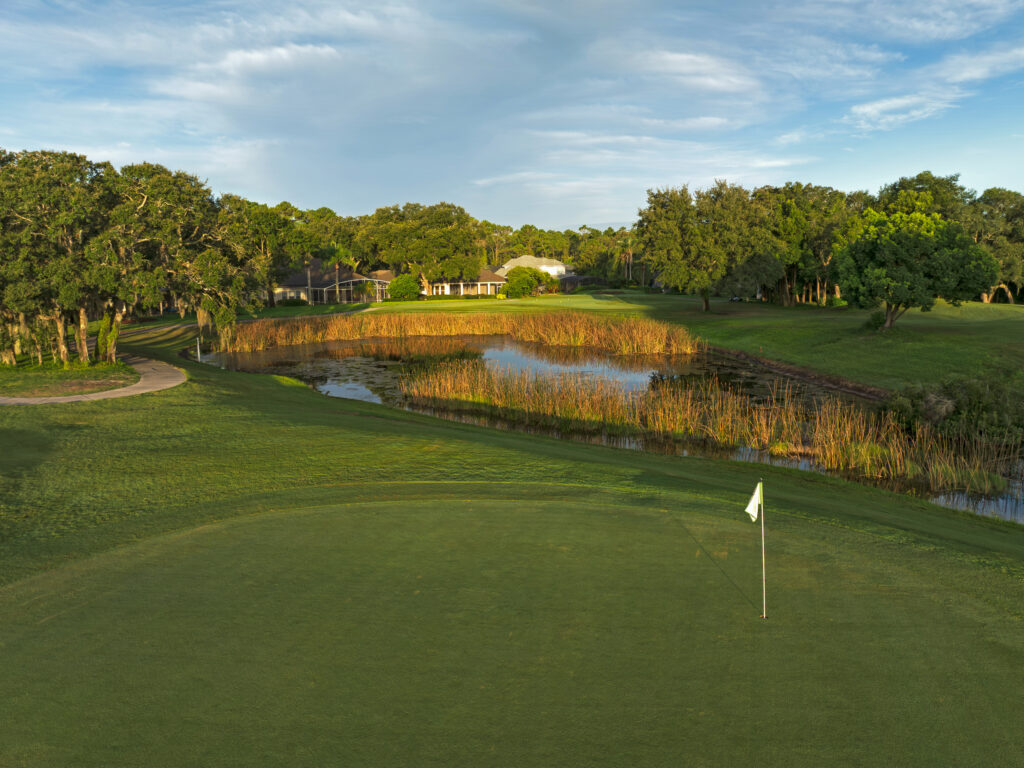 Hole #12